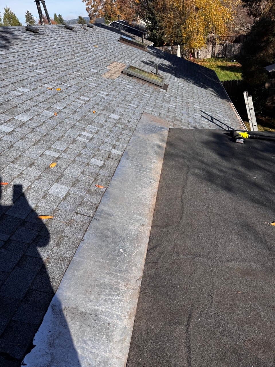 Roof Moss Removal & Cleaning