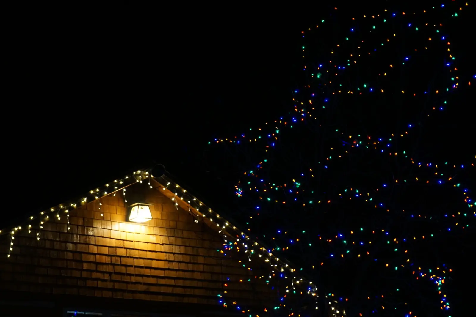 Close-up of multicolor string lights clipped along a roofline at night