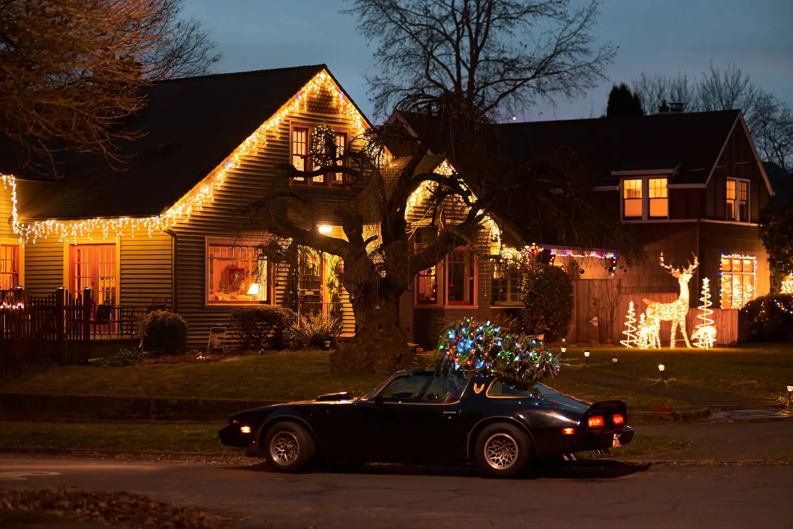 Two-story homes with warm white icicle lights along the rooflines at dusk