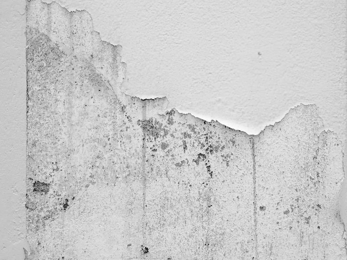 Smooth drywall patch finish Portland — EVN Handyman
