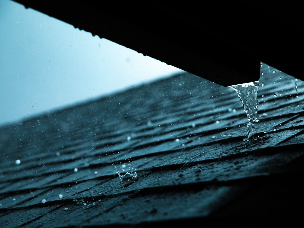 Gutter debris removal Portland — EVN Handyman