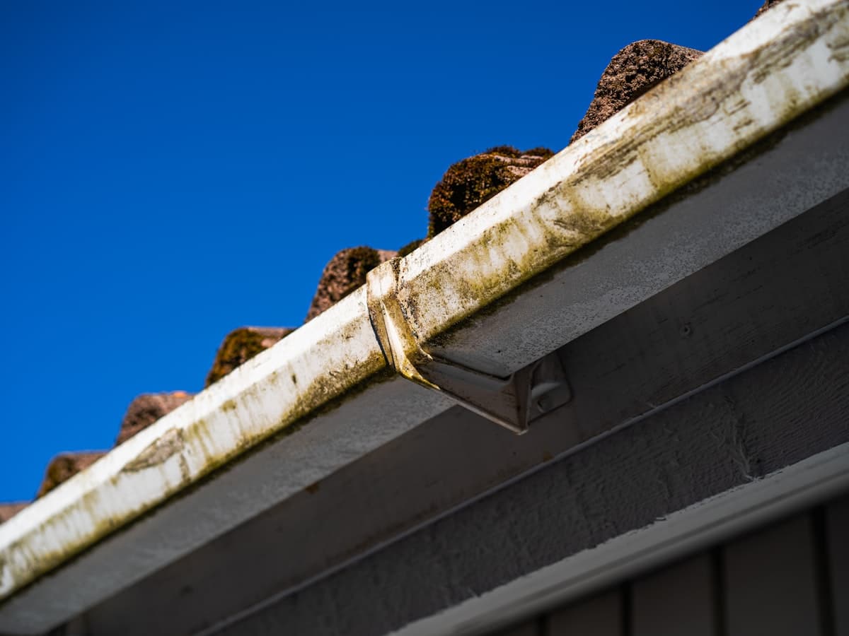 Downspout cleaning Portland — EVN Handyman