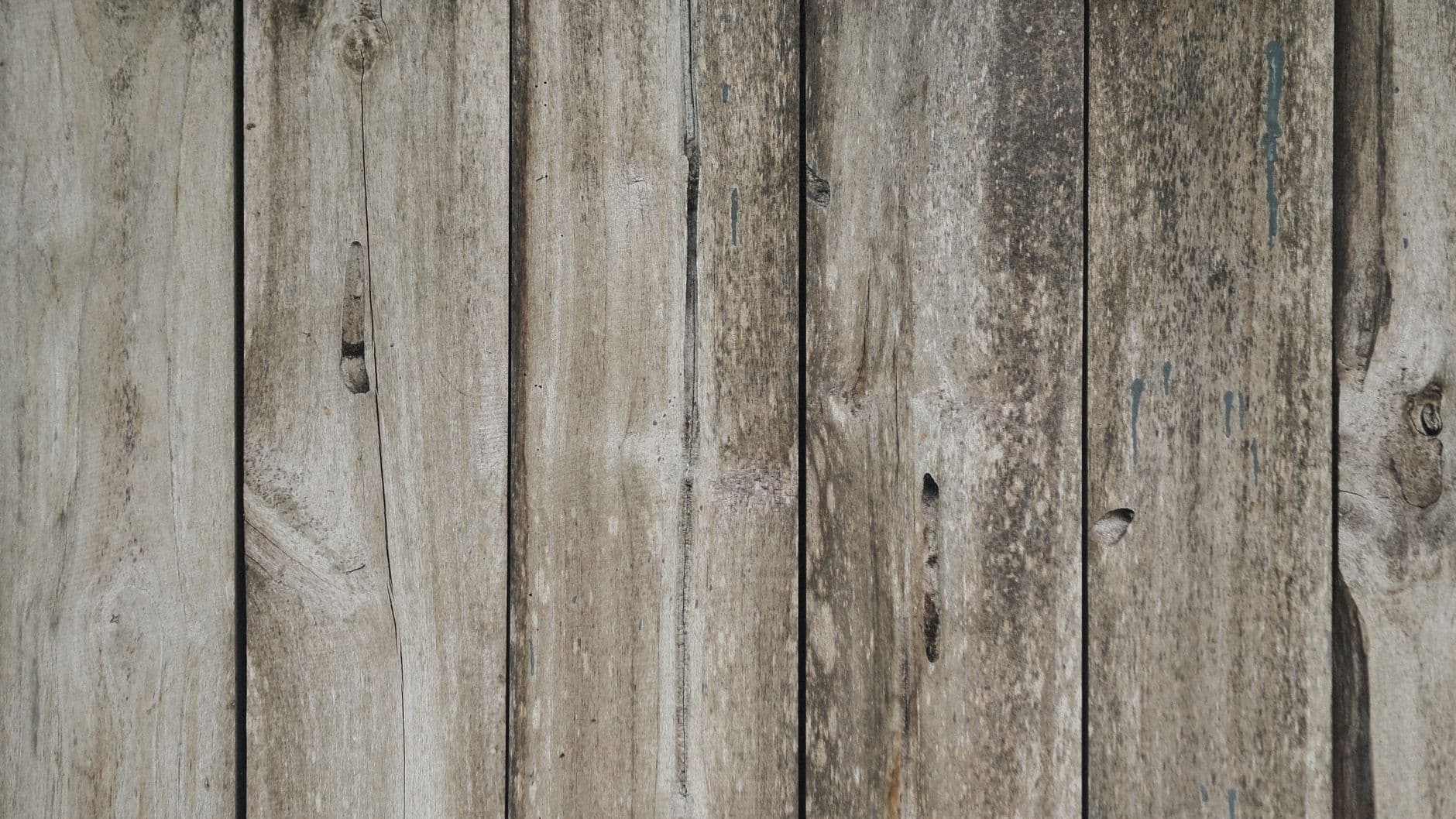 How to Tell If a Deck Board Is Safe to Walk On or Needs to Be Replaced