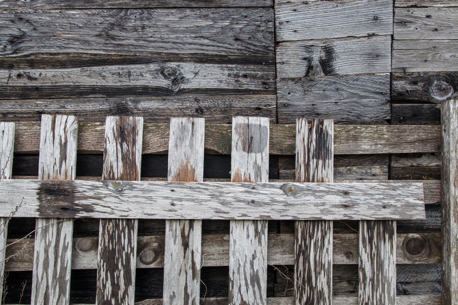 How to Tell If a Fence Board Can Be Repaired Instead of Replaced